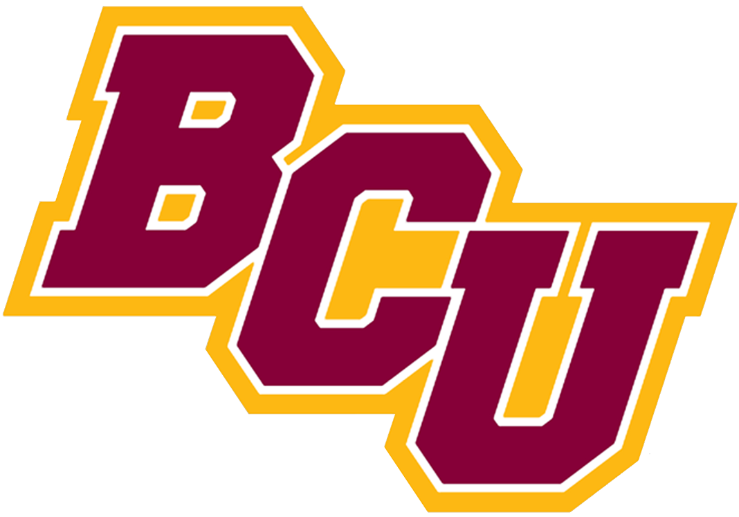 Bethune-Cookman Wildcats 2016-Pres Secondary Logo iron on transfers for clothing